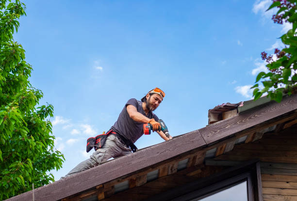 Steel Roofing in Fern Park, FL